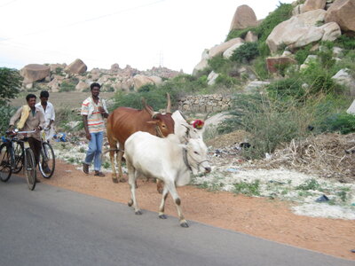 Hampi, IMG_1897