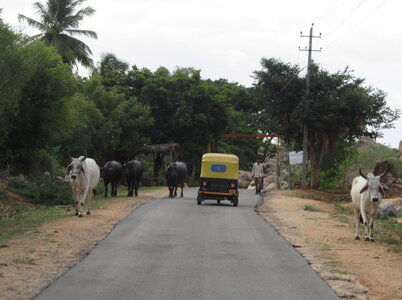 Hampi, IMG_1909