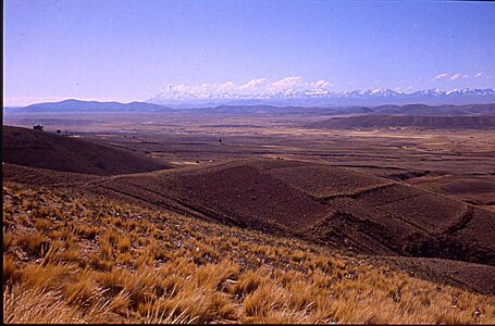 voyage en Bolivie, bol053