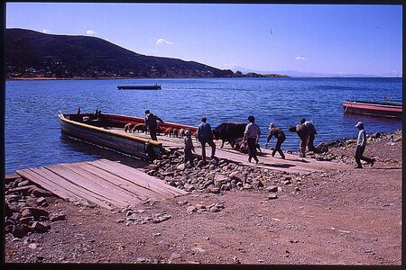 voyage en Bolivie, bol079