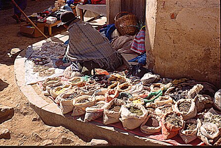 voyage en Bolivie, bol196