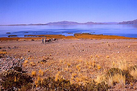 voyage en Bolivie, bol074