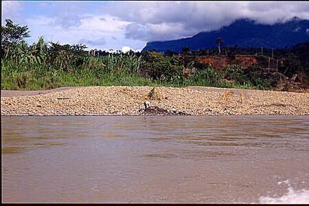 voyage en Bolivie, bol029