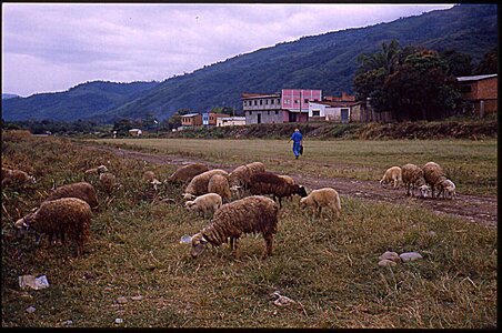 voyage en Bolivie, bol038
