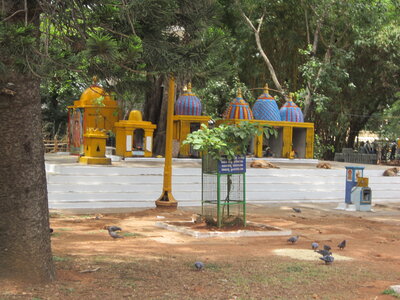 First days, IMG_1767