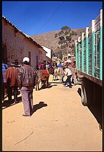 voyage en Bolivie, bol173