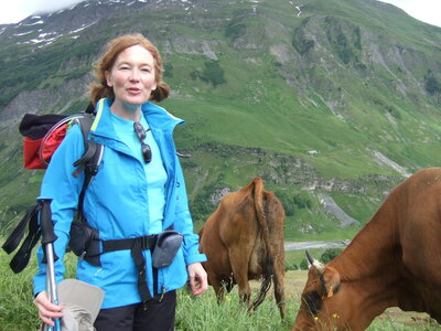 Tour du Mont Blanc, DSCF4848