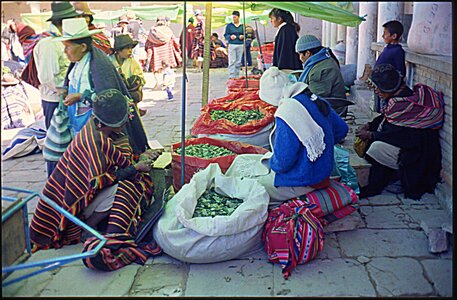 voyage en Bolivie, bol211