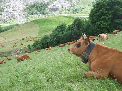 Tour du Mont Blanc, DSCF4847