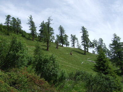 Tour du Mont Blanc, DSCF4965