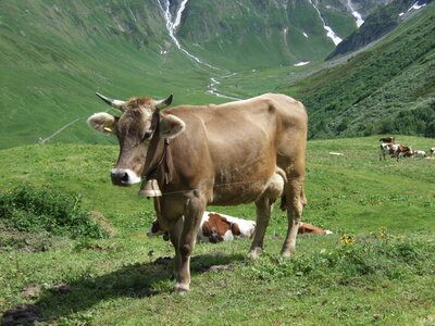 Tour du Mont Blanc, DSCF4951