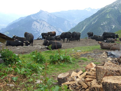Tour du Mont Blanc, DSCF4974