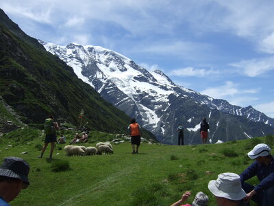 Tour du Mont Blanc, DSCF4813