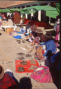 voyage en Bolivie, bol201