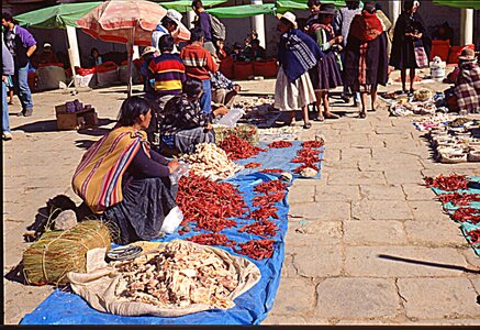 voyage en Bolivie, bol200