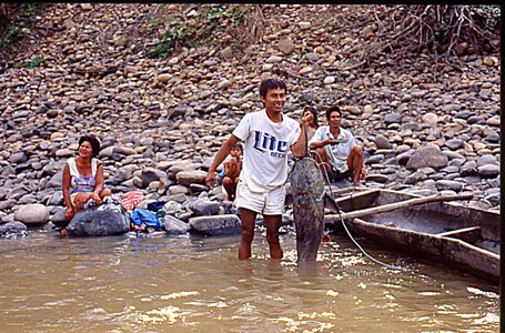 voyage en Bolivie, bol033