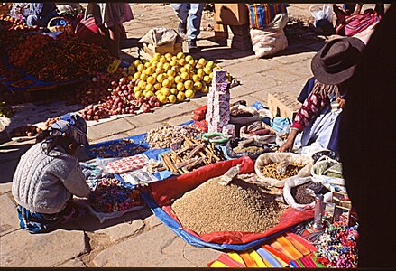 voyage en Bolivie, bol206