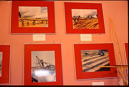 voyage en Bolivie, bol076