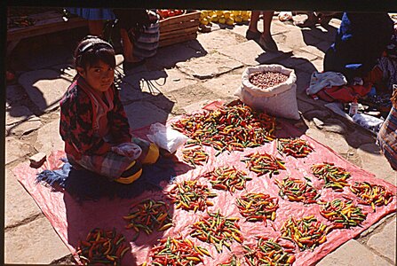 voyage en Bolivie, bol205
