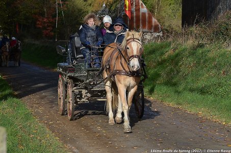 2017-11 14émé Route du Hareng, DSC_2916