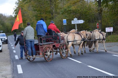 2017-11 14émé Route du Hareng, DSC_2974