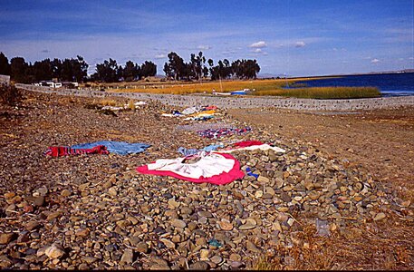 voyage en Bolivie, bol075