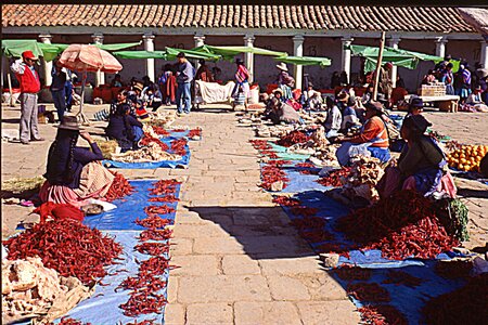 voyage en Bolivie, bol199