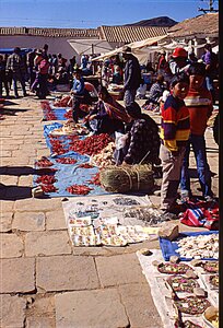 voyage en Bolivie, bol202