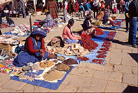 voyage en Bolivie, bol210