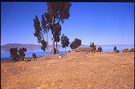 voyage en Bolivie, bol073