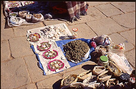 voyage en Bolivie, bol203