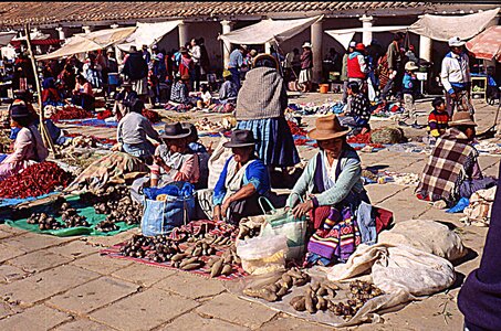 voyage en Bolivie, bol197