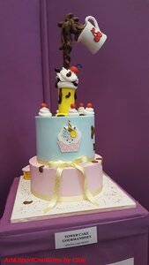 SALON du CHOCOLAT LYON 2017, 154124