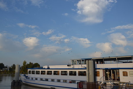 Cruise From the 14th octobre to the 23th octobre 2017, BBT CROISIERE 14OCT 2017  1 