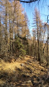 Pic Queyrel, 20171126_135241-01