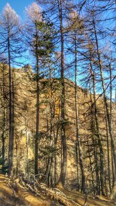 Pic Queyrel, 20171126_135603-01