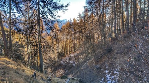Pic Queyrel, 20171126_135921-01