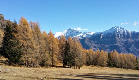 Pic Queyrel, 20171126_142029-01