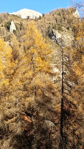 Pic Queyrel, 20171126_142642-01