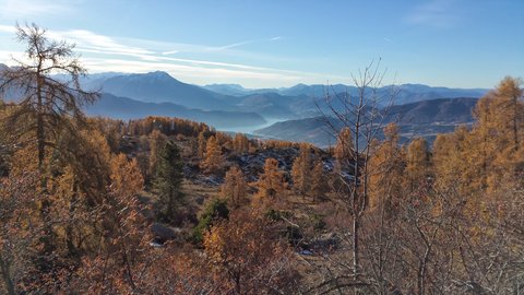 Piolit, 20171121_091050-01