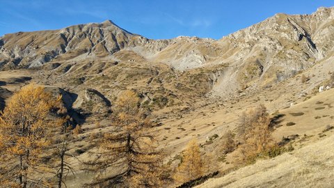 Piolit, 20171121_144828-01