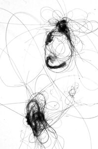 Minoutes, LHC - Atlas : collision d'un groscon avec un gluon à 15 TeV