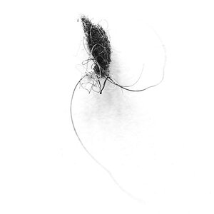 Minoutes, The Thing