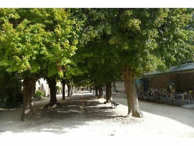 Pilat_2017, 142