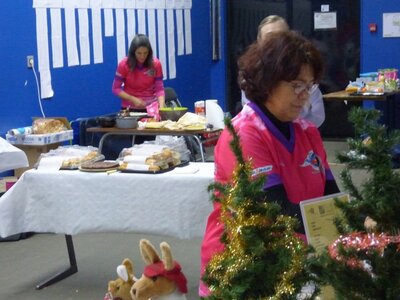 Concours Aizenay 16 et 17 décembre 2017, P1000482