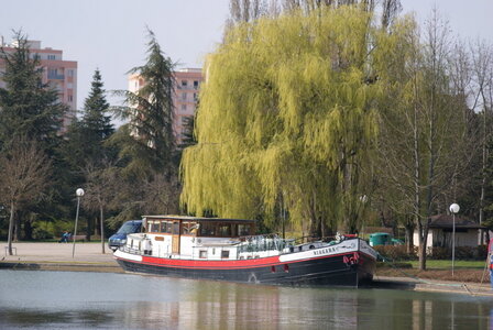 Dijon ., DSC03925
