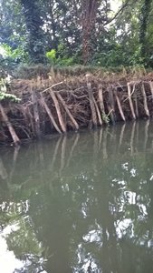 Marais poitevin 2017 -2-, FOT2D3F