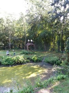 Marais poitevin 2017 -2-, Resized_20170902_113005_1504362181192