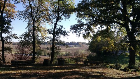 Puisseguin 2017, P_20171118_150233