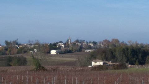 Puisseguin 2017, P_20171118_151711